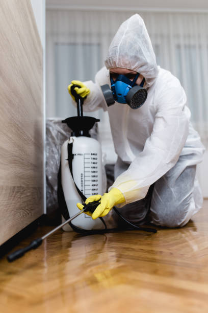 Best Indoor Pest Control  in Douglasville, GA